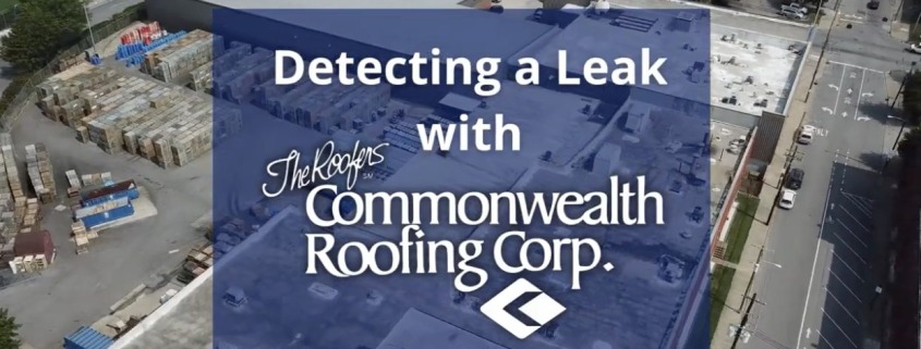 Detecting a Leak Before it Ruins Your Roof
