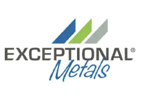 Exceptional Metals