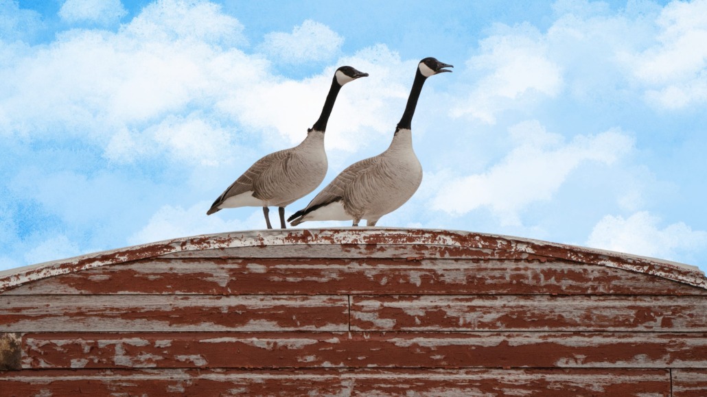 How Could Geese Damage Commercial Roofs?