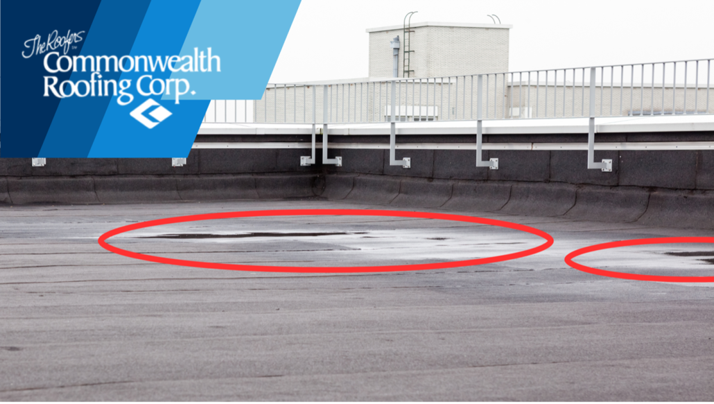 Pre Winter Roof Check: 5 Warning Signs You Can’t Ignore