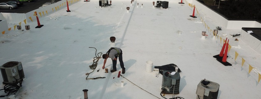 What Should Be Included in a Commercial Roof Maintenance Plan?